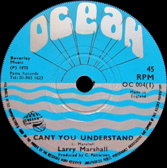 Cant You Understand / Locks Of Dub