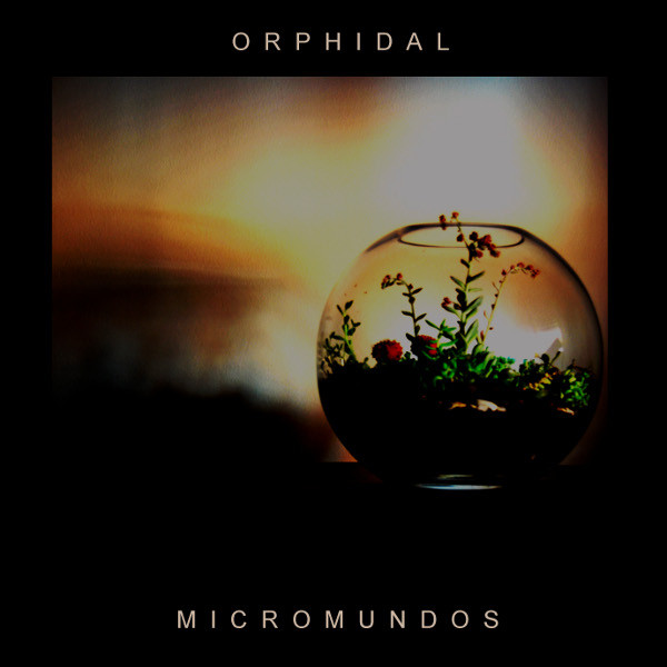 Micromundos