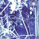 Into The Woods Of Belial