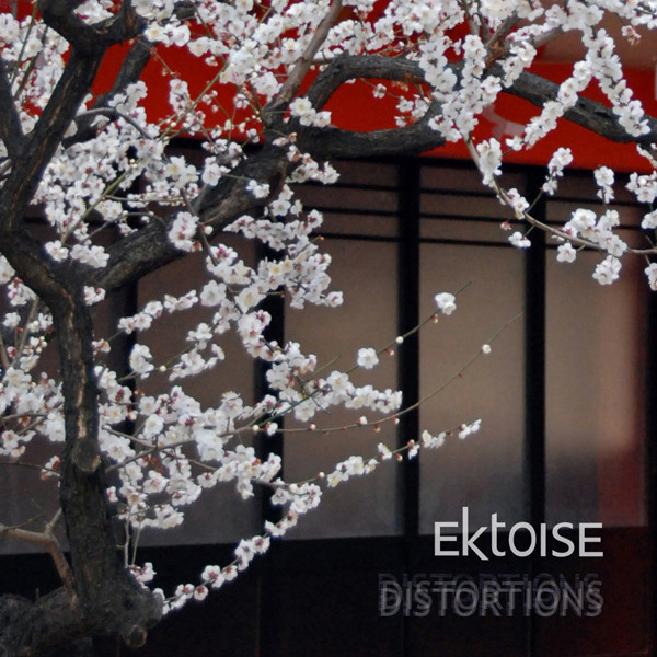 Distortions