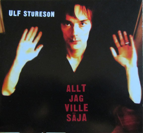 Allt Jag Ville Säja