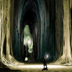 Under The Wood