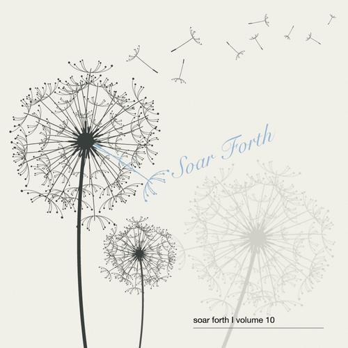 Soar Forth Volume 10