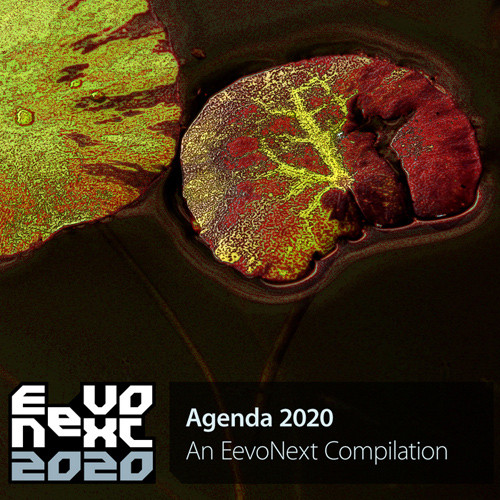 Agenda 2020 - An EevoNext Compilation