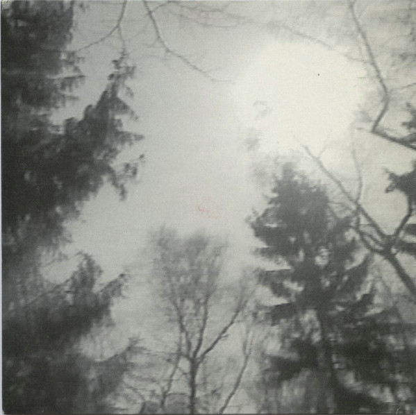 Mein Freund Der Baum