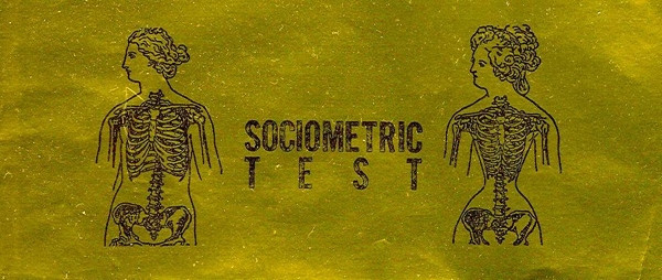 Sociometric Test