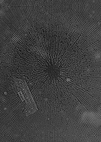 ML09: Ekoplekz