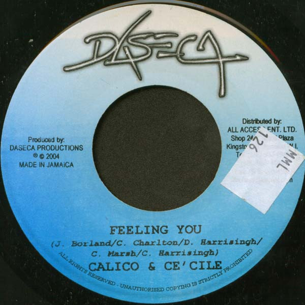 Feeling You / Sintt'n Fi Die Fah