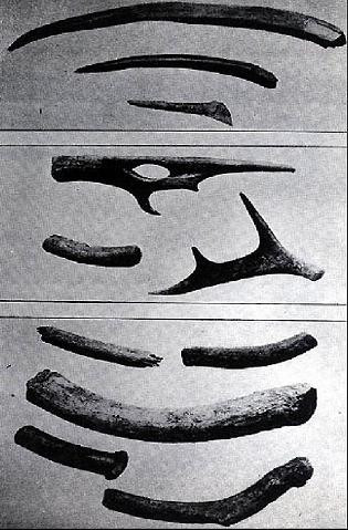 Bone Fetish