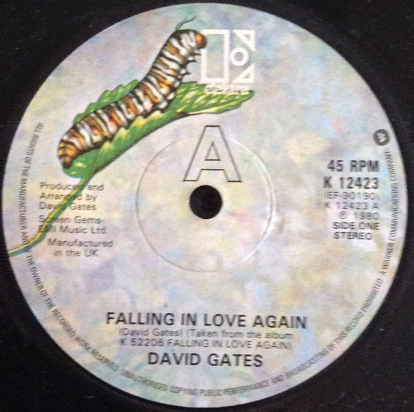 Falling In Love Again