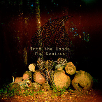 Into The Woods - The Remixes
