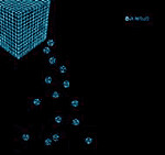 Oji-Mojo