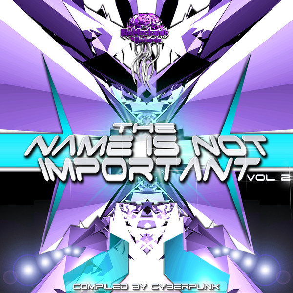 The Name Is Not Important - Vol. 2