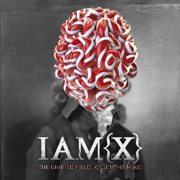 The Unified Field . Quiet The Mind