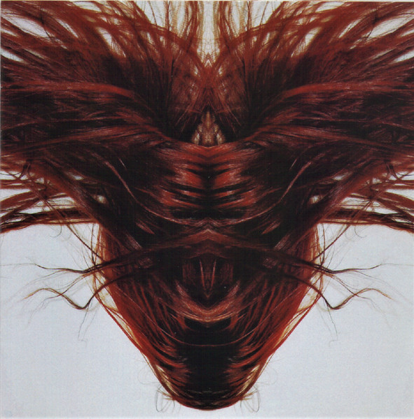 A Collection Of Hair