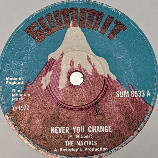 Never You Change / Never Change (Version)