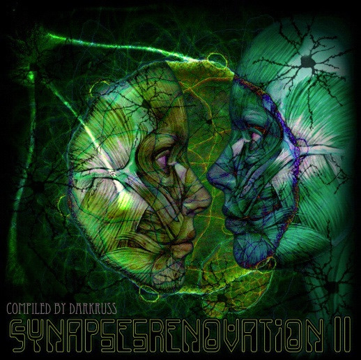 Synapses Renovation II