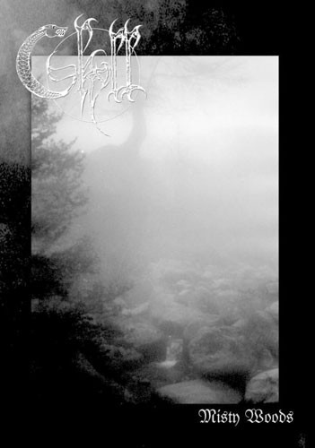 Misty Woods
