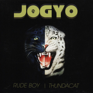 Rude Boy / Thundacat