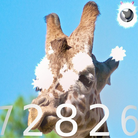 72826