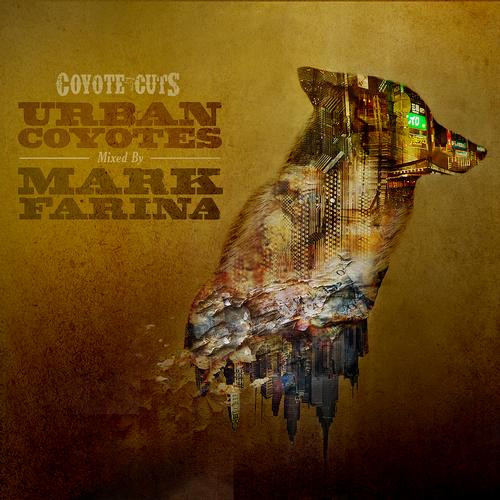 Urban Coyotes
