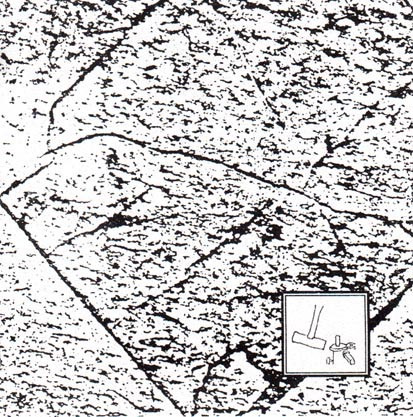 Trigger Field