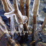 Phonography.org 5