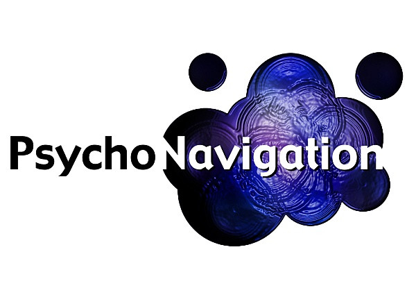 Psychonavigation Sampler 2013 