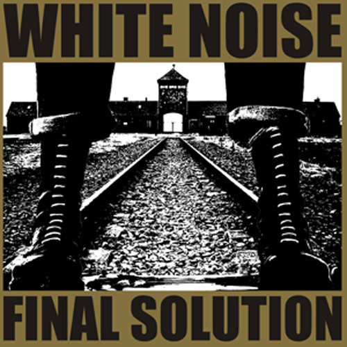 Final Solution