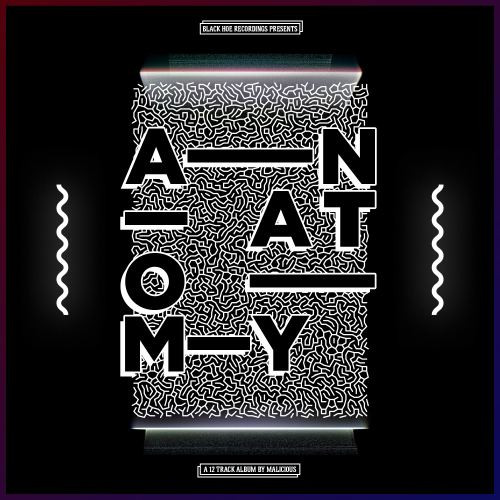 Anatomy