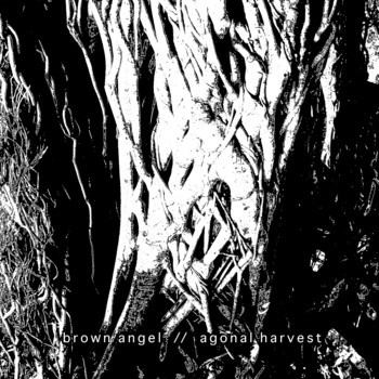 Agonal Harvest