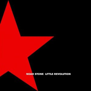 Little Revolution