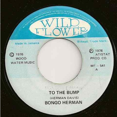 To The Bump