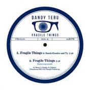 Fragile Things 12"inch