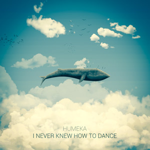 I Never Knew How To Dance