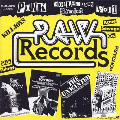 The Punk Collectors Series Vol.1 RAW Records