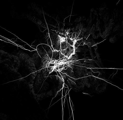 Planeta Modular Mix