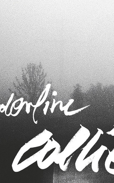 Borderline Collie