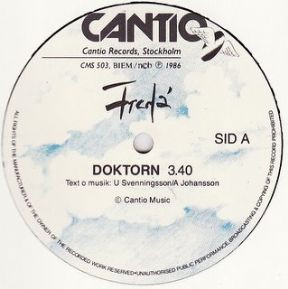 Doktorn