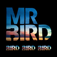 Bird Bird Bird