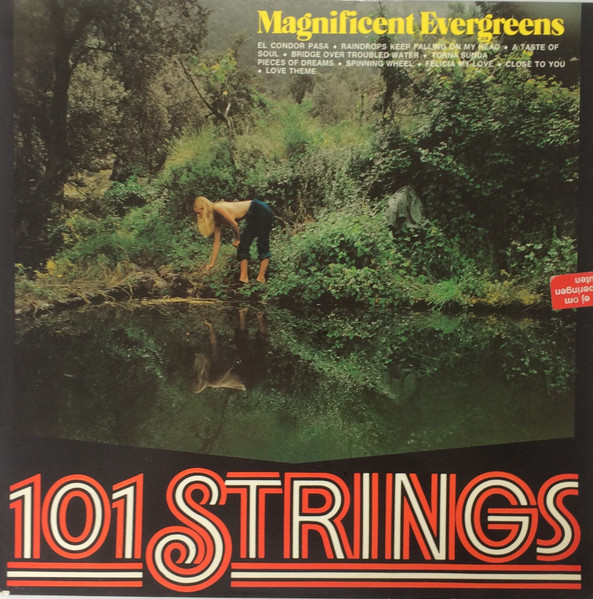 Magnificent Evergreens
