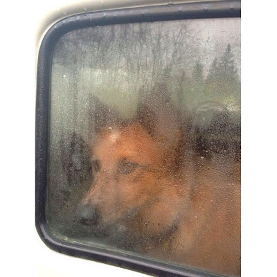 A Window Open
