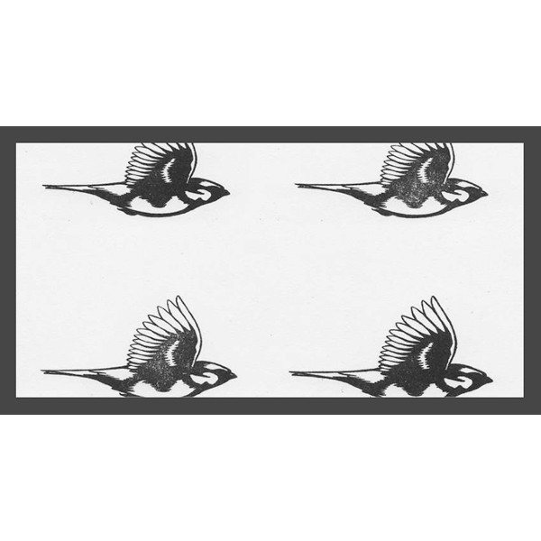 Electronic Explorations 245 - Avian Record Label
