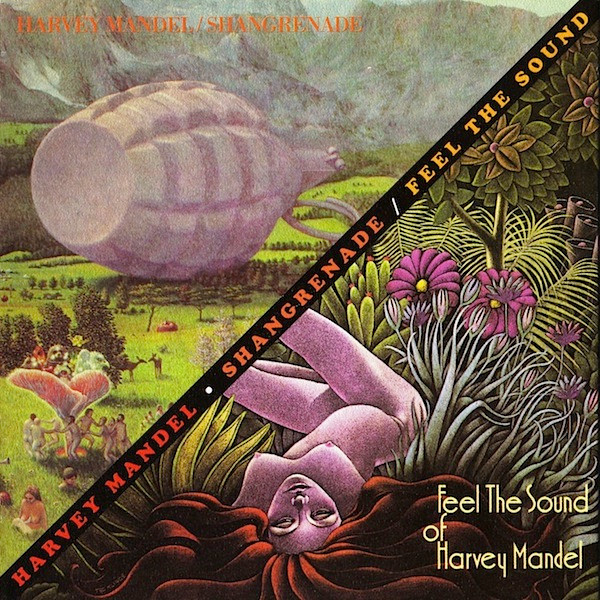 Shangrenade / Feel The Sound Of Harvey Mandel 