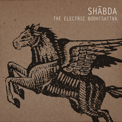 The Electric Bodhisattva