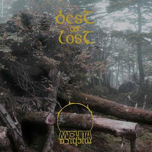 Best & Lost