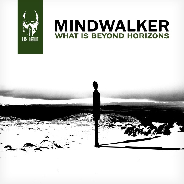 What Is Beyond Horizons