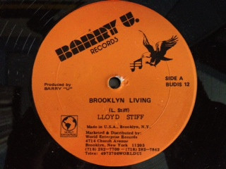 Brooklyn Living / Want You Put It Down