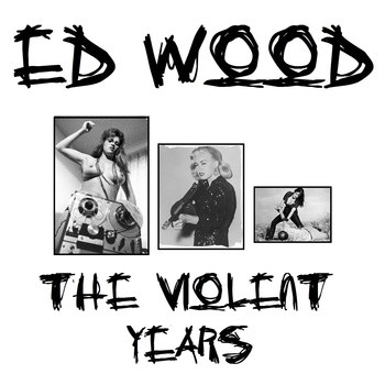 The Violent Years