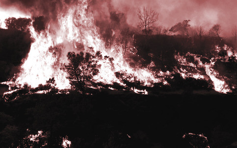 Amarok / Hell